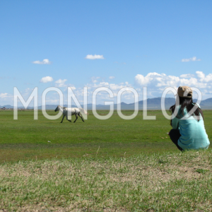 image_mongol02